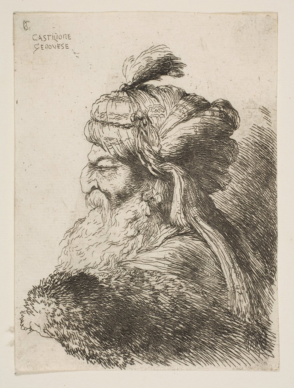 رأس رجل عجوز مع عمامة تواجه اليسار ، من سلسلة رؤوس صغيرة في ... ، كاليفورنيا. 1645-1650. بواسطة جيوفاني بينيديتو كاستيجليون