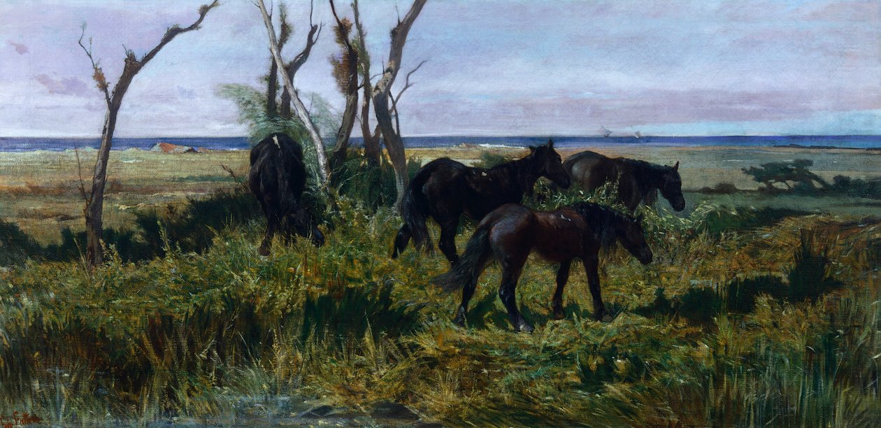 رعي الخيول ، جيوفاني فاتوري (1825-1908) بواسطة جيوفاني فاتوري