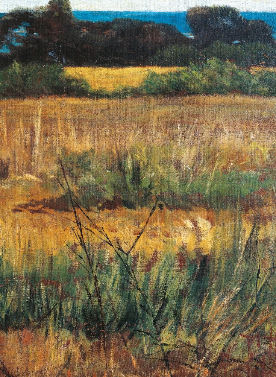 Italy, Florence, Maremma Toscana, circa 1894, detail بواسطة جيوفاني فاتوري