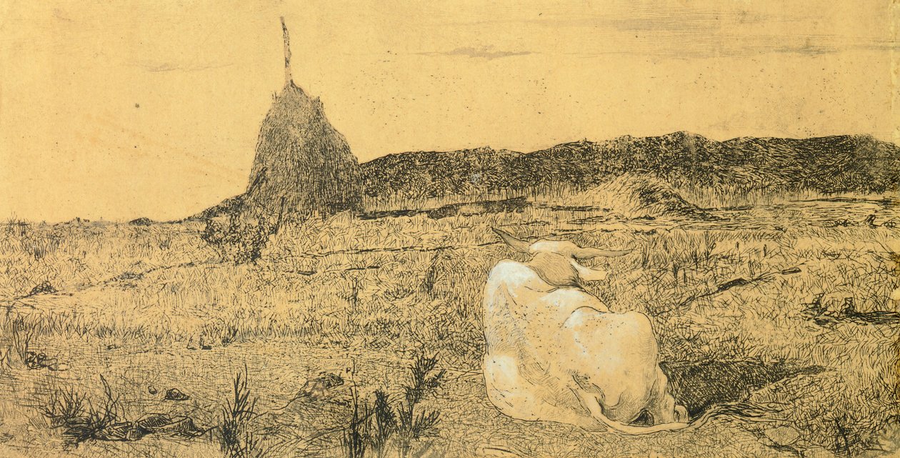 بيو بوف (الثور المتدين أو السلمي) لجيوفاني فاتوري (1825-1908) ، نقش بواسطة جيوفاني فاتوري