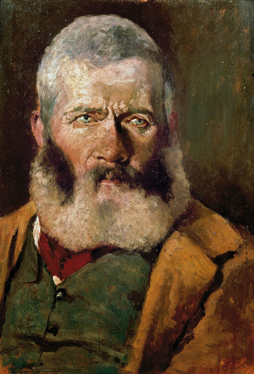 Portrait of cowboy, ca 1882 (oil on canvas) بواسطة جيوفاني فاتوري