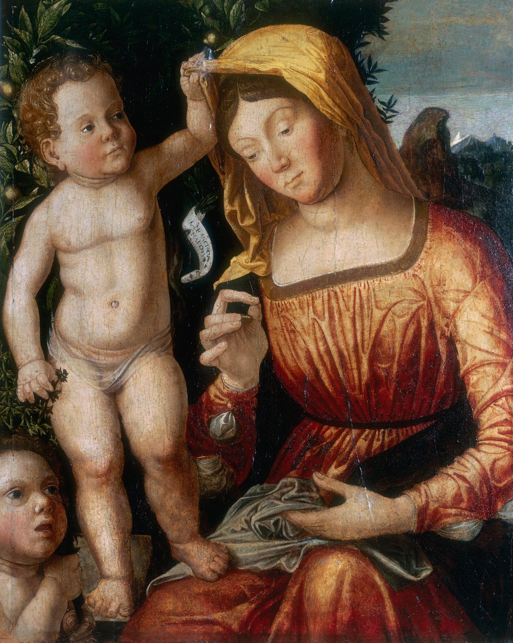 The seamstress Madonna بواسطة جيوفاني فرانشيسكو كاروتو