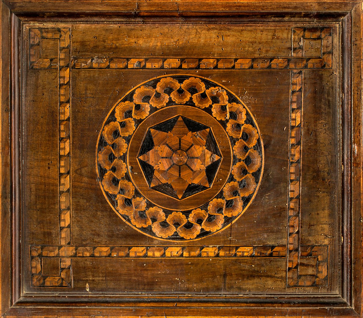 كورال Lignaean الكنسي ، مرصع بواسطة Giovanni Maria Platina 1484 ، Lower Stall بواسطة جيوفاني ماريا بلاتينا