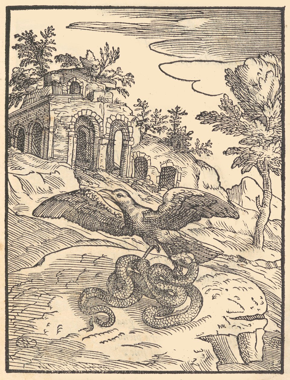 طائر وثعبان ، 1570. بواسطة جيوفاني ماريا فيرديزوتي