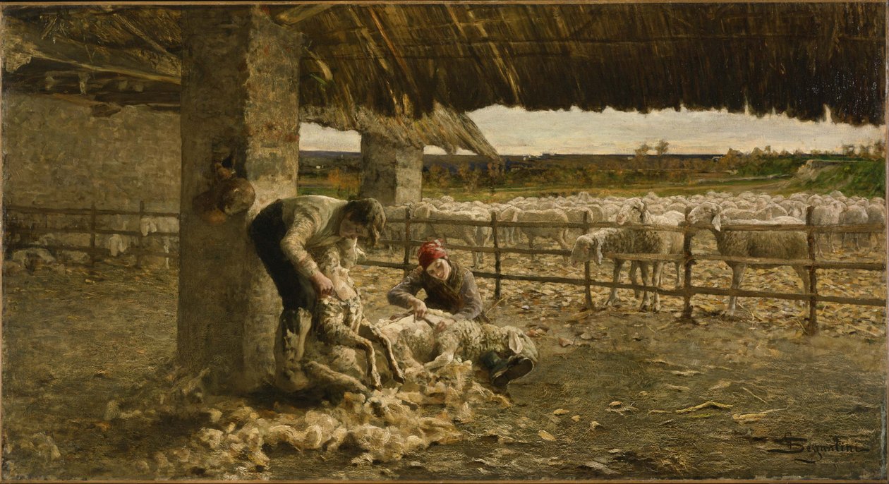 Sheepshearing ، 1883-1884 بواسطة جيوفاني سيجانتيني