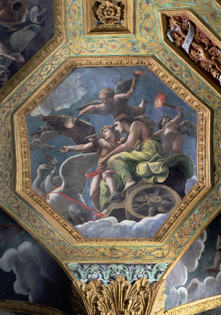 فينوس وكيوبيد في عربة رسمها البجع ، سقف قيسون من Sala di Amore e Psiche ، 1528 (زيت على الجص) بواسطة جوليو رومانو