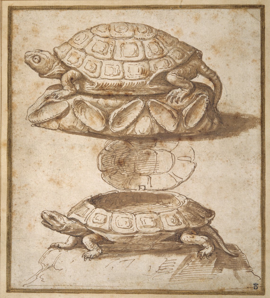 Design for a lidded box in the shape of a tortoise, shown open and shut (pen & brown ink with brown wash on paper) بواسطة جوليو رومانو