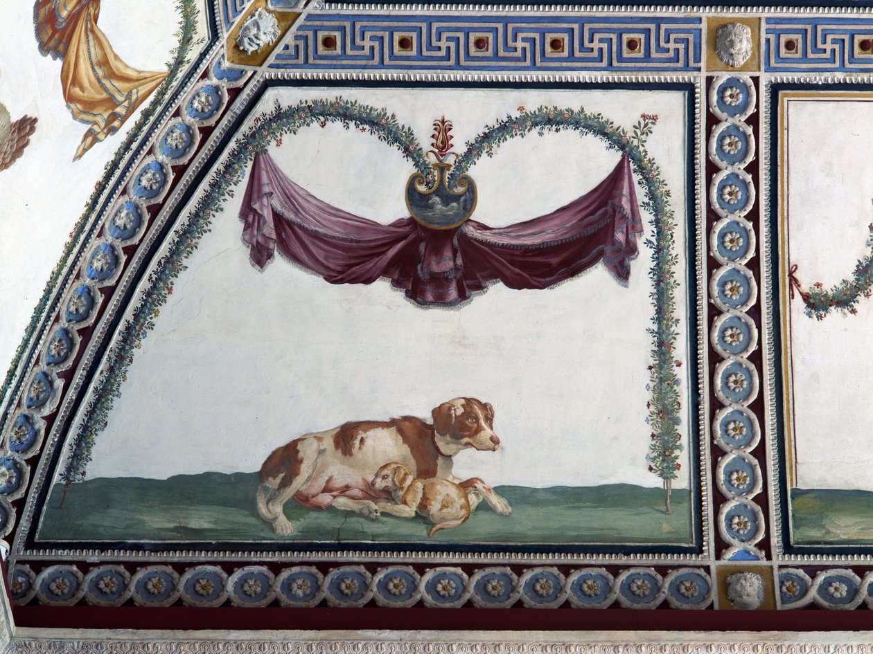 The camera con Fregio di Amorini Chamber of the Cupid Frieze تفاصيل كلب وجرو ، 1520s فريسكو بواسطة جوليو رومانو