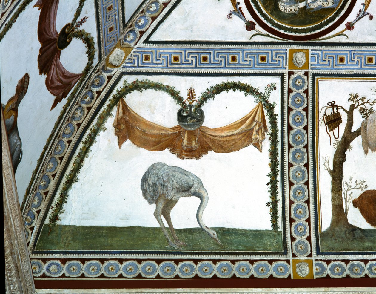 The camera con Fregio di Amorini Chamber of the Cupid Frieze تفاصيل النعام ، لوحة جدارية من عشرينيات القرن الخامس عشر بواسطة جوليو رومانو