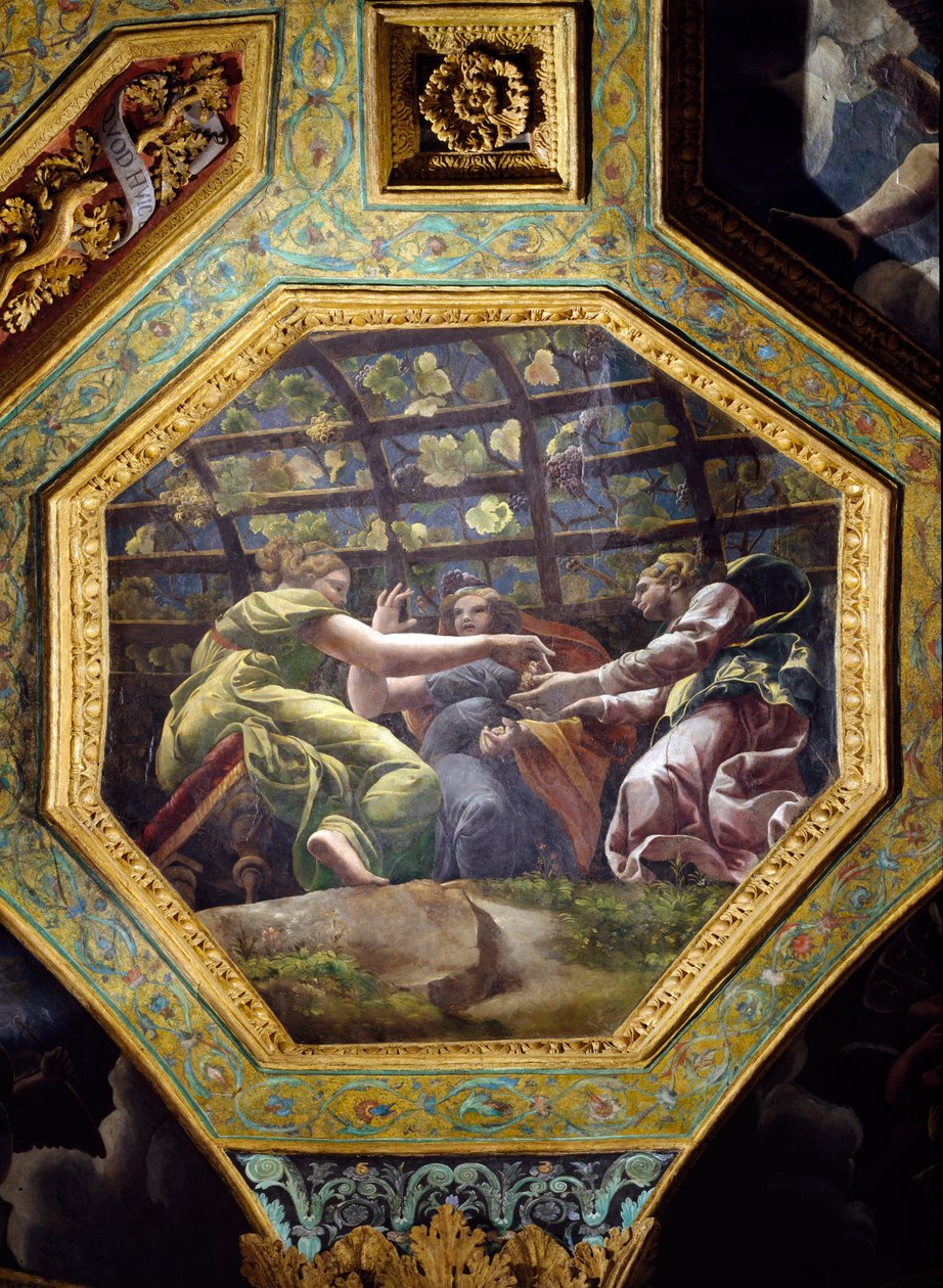 نساء يجمعن العنب ، سقف غواص من Sala di Amore e Psiche ، 1528 (زيت على الجص) بواسطة جوليو رومانو