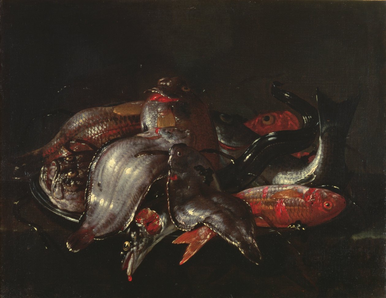 الحياة الساكنة للأسماك ، c.1670-80 بواسطة جوزيبي ريكو