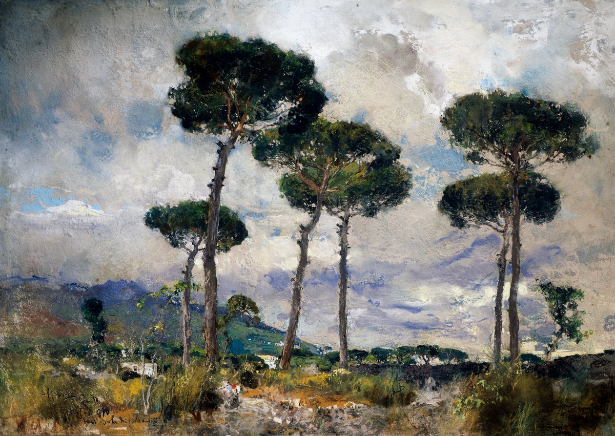 Pine trees بواسطة جوزيبي كاسسيارو
