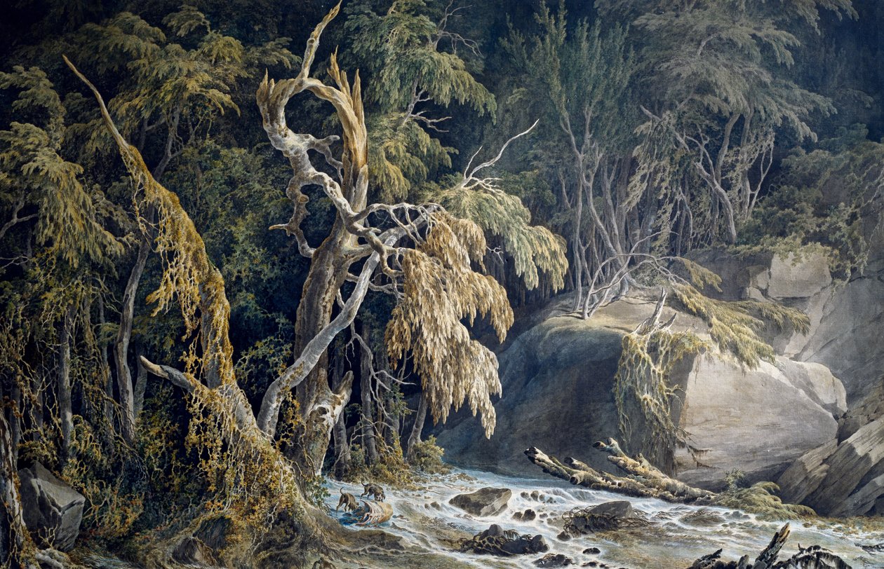 منظر طبيعي صخري مع اقتلاع الأشجار ، بواسطة جوزيبي بيترو باجيتي (1764-1831). بواسطة جوزيبي بيترو باجيتي