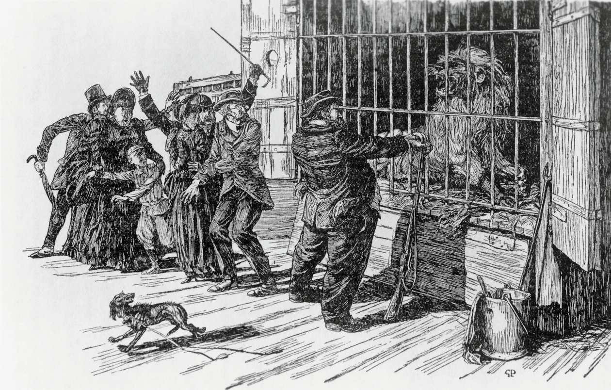 Tartarin وقفص الأسد ، رسم توضيحي لـ Tartarin على جبال الألب بواسطة Alphonse Daudet Milan بواسطة جوزيبي بورشيدو