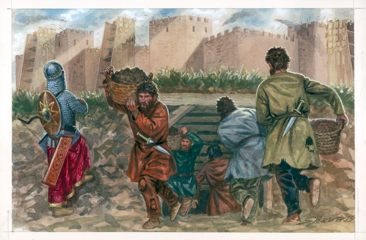  بواسطة جوزيبي رافا