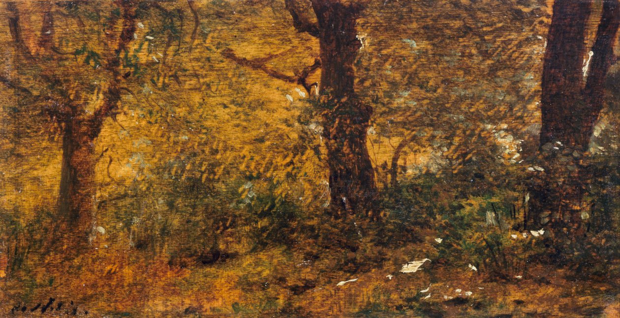 Study of wood بواسطة جوزيبي أو جوزيف دي نيتيس