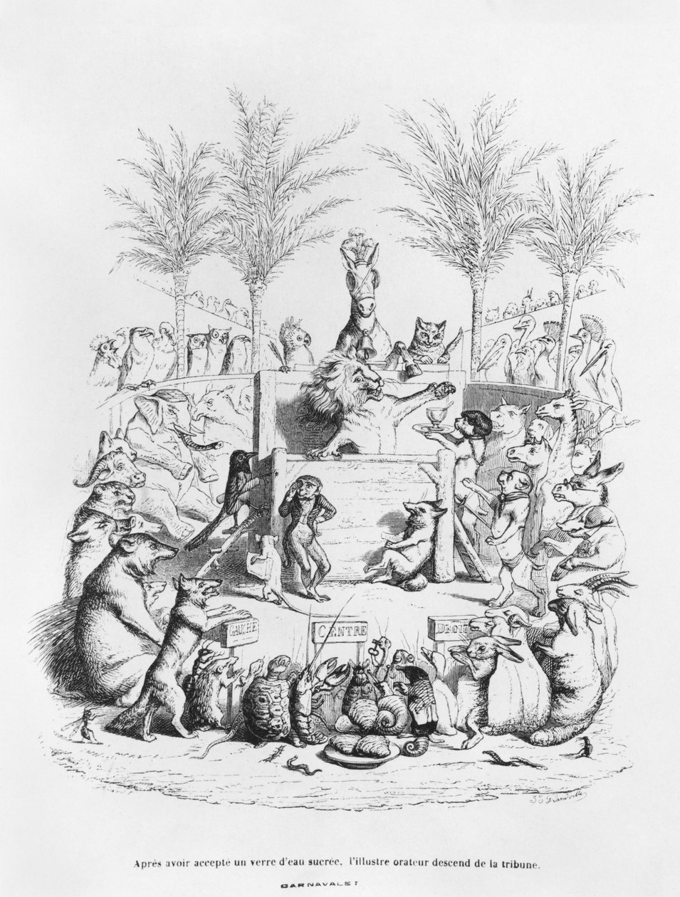 "بعد تناول كوب من ماء السكر ، ينزل الخطيب الشهير إلى المنصة" ، توضيح من "Scenes de la Vie Privee et Publique des Animaux" بواسطة جراندفيل