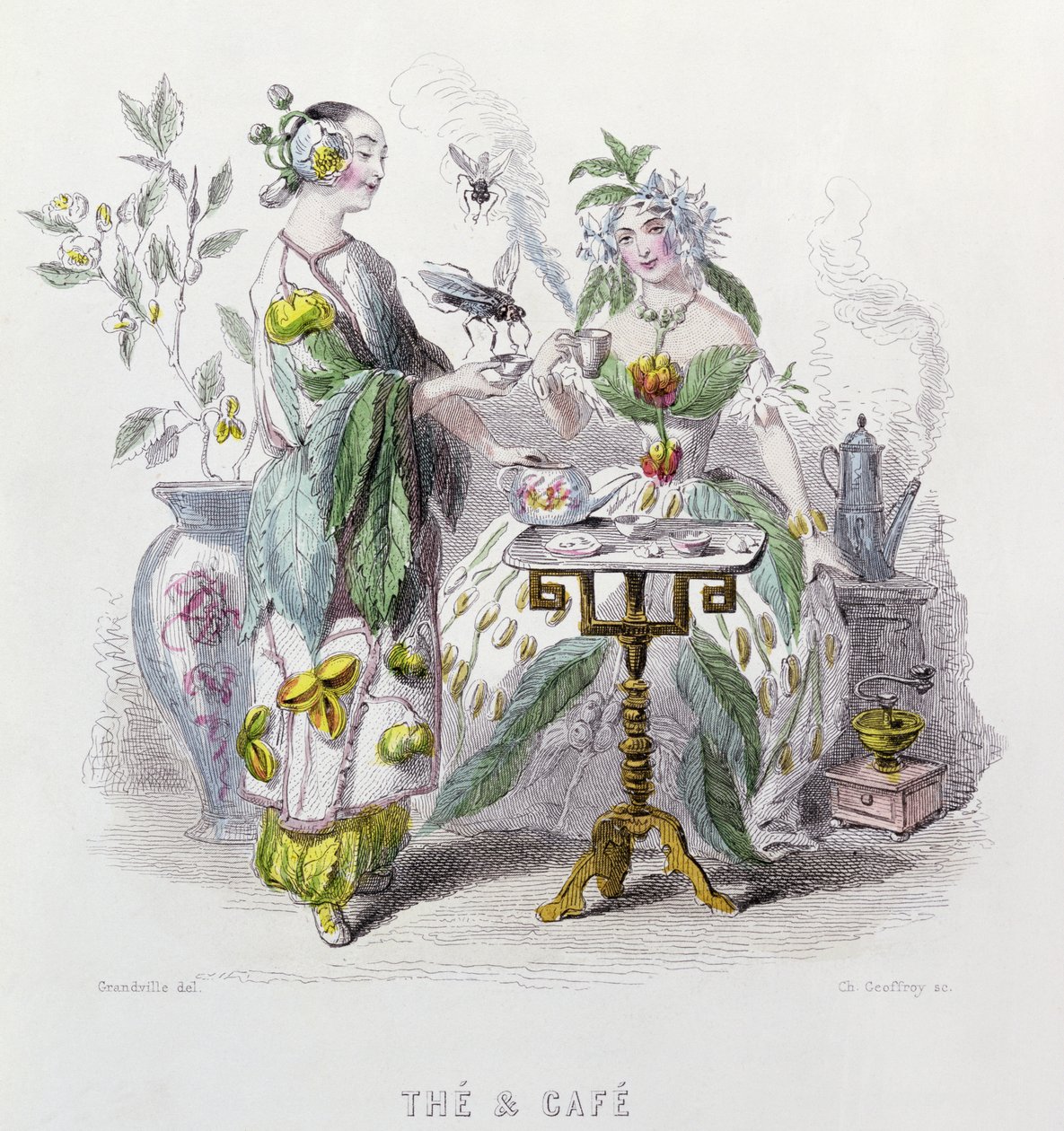 الشاي والقهوة ، من فيلم "Les Fleurs Animees" ، منقوش من قبل تشارلز جيفري (1819-1882) 1847 بواسطة جراندفيل
