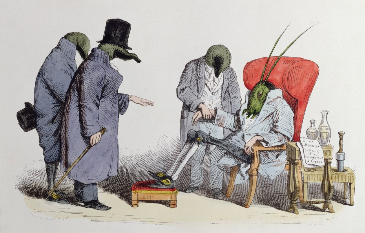أطباء Leech ، كاريكاتير من "Les Metamorphoses du Jour" ، 1854 بواسطة جراندفيل