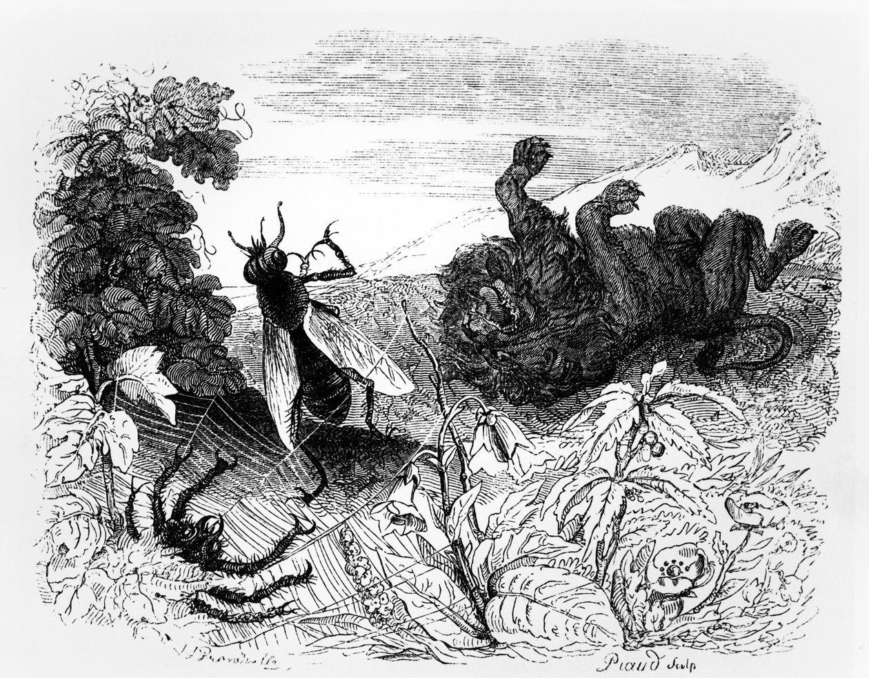 The Lion and the Gnat ، رسم توضيحي لـ "خرافات" لافونتين ، تم نشره بواسطة H.Fournier Aine ، 1838 بواسطة جراندفيل