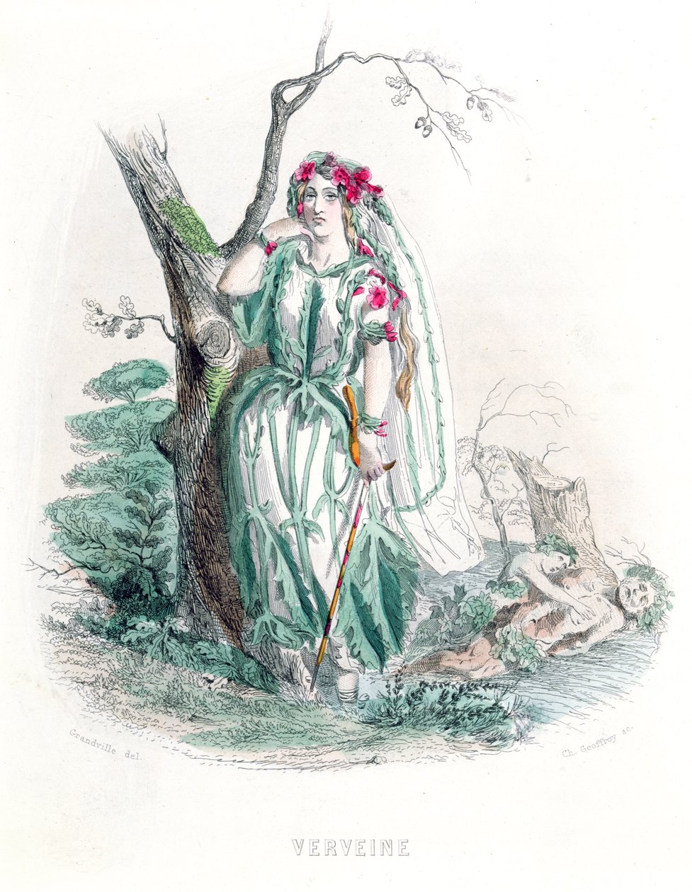 The Vervain ، من "Les Fleurs Animees" ، محفور من قبل Charles Geoffroy (1819-1882) ، 1847 (نقش الألوان) بواسطة جراندفيل