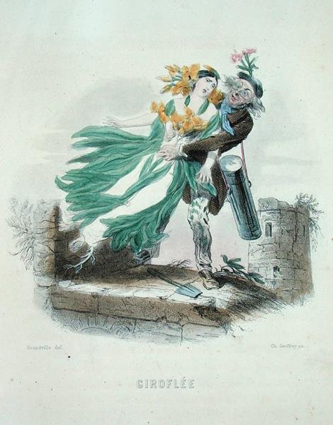 المعالج بالأعشاب يسرق زهرة الجدار ، من "Les Fleurs Animees" ، نقش تشارلز جيفروي (1819-1882) بواسطة جراندفيل