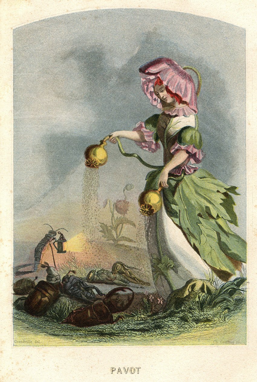  بواسطة غراندفيل (1803-47)