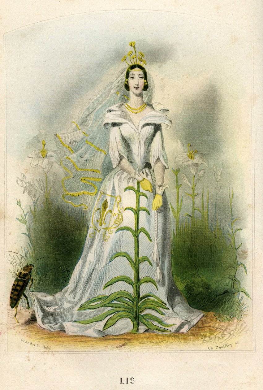  بواسطة غراندفيل (1803-47)