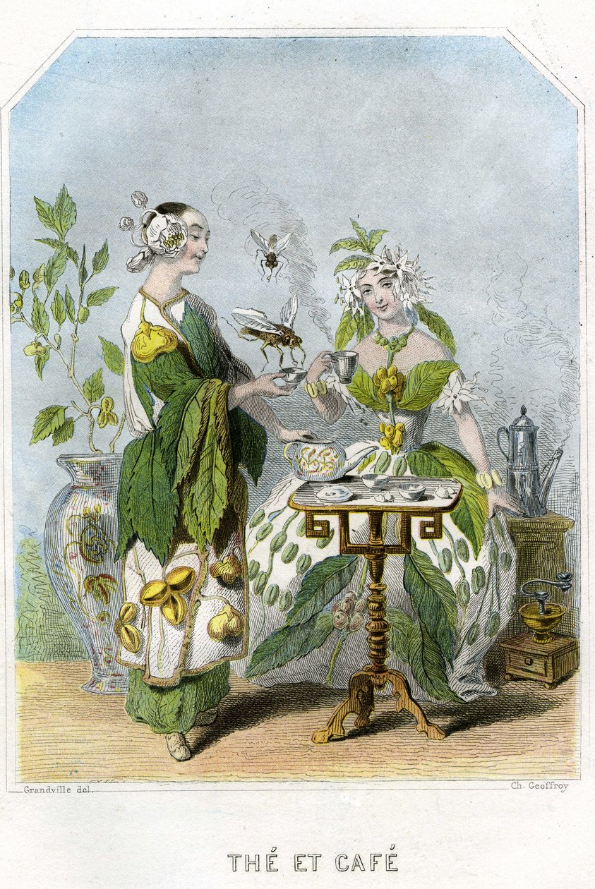  بواسطة غراندفيل (1803-47)