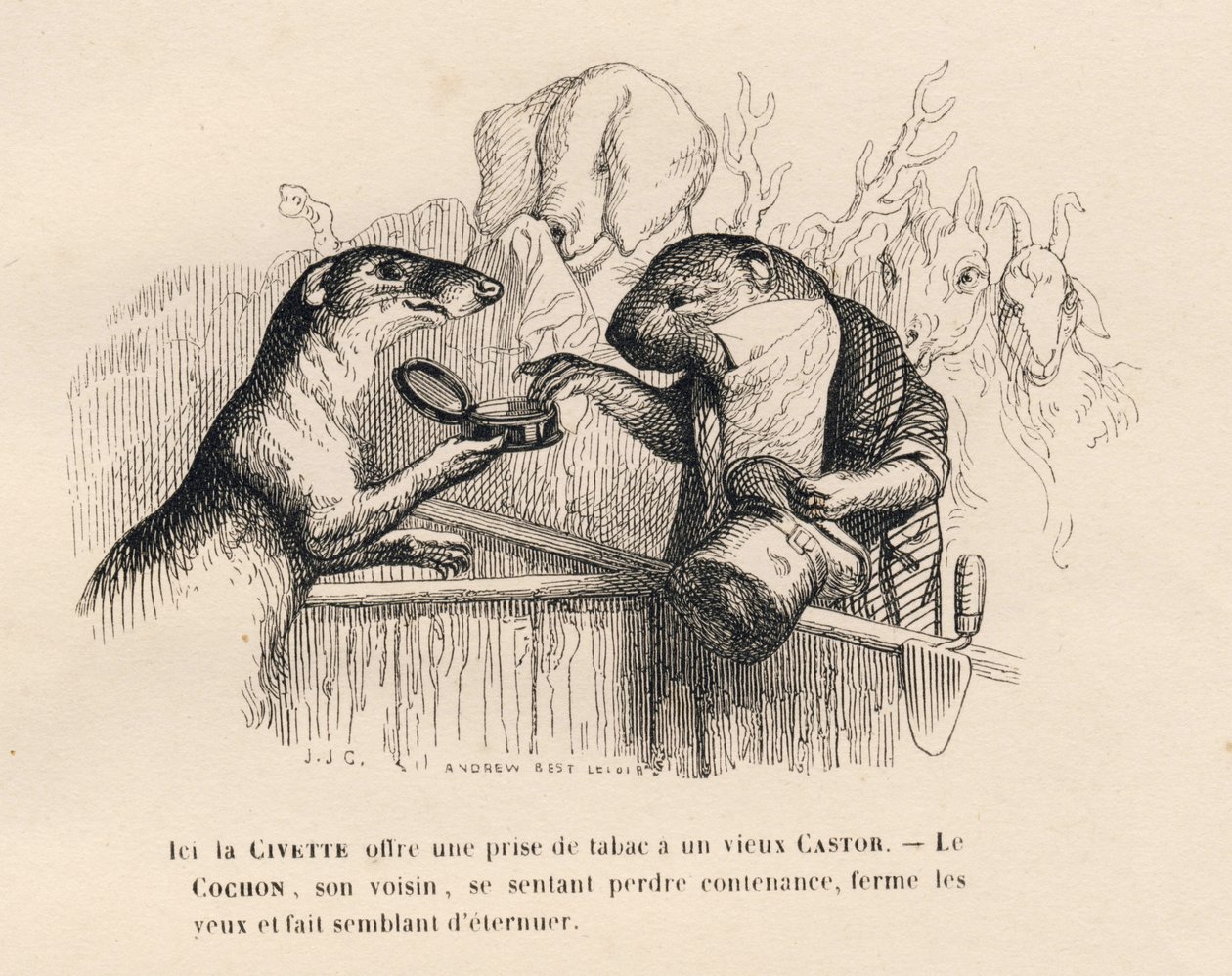 الزباد يقدم لقندس عجوز صيدًا من التبغ ، ويحاول الخنزير الذي يقف خلفه احتواء نفسه. المقالات القصيرة موضحة بواسطة JJ Granville. وقع النقش أندرو بست وليلوار في مقدمة بعنوان "ملخص برلماني" كتبها بي جي ستال في "مشاهد" بواسطة جراندفيل