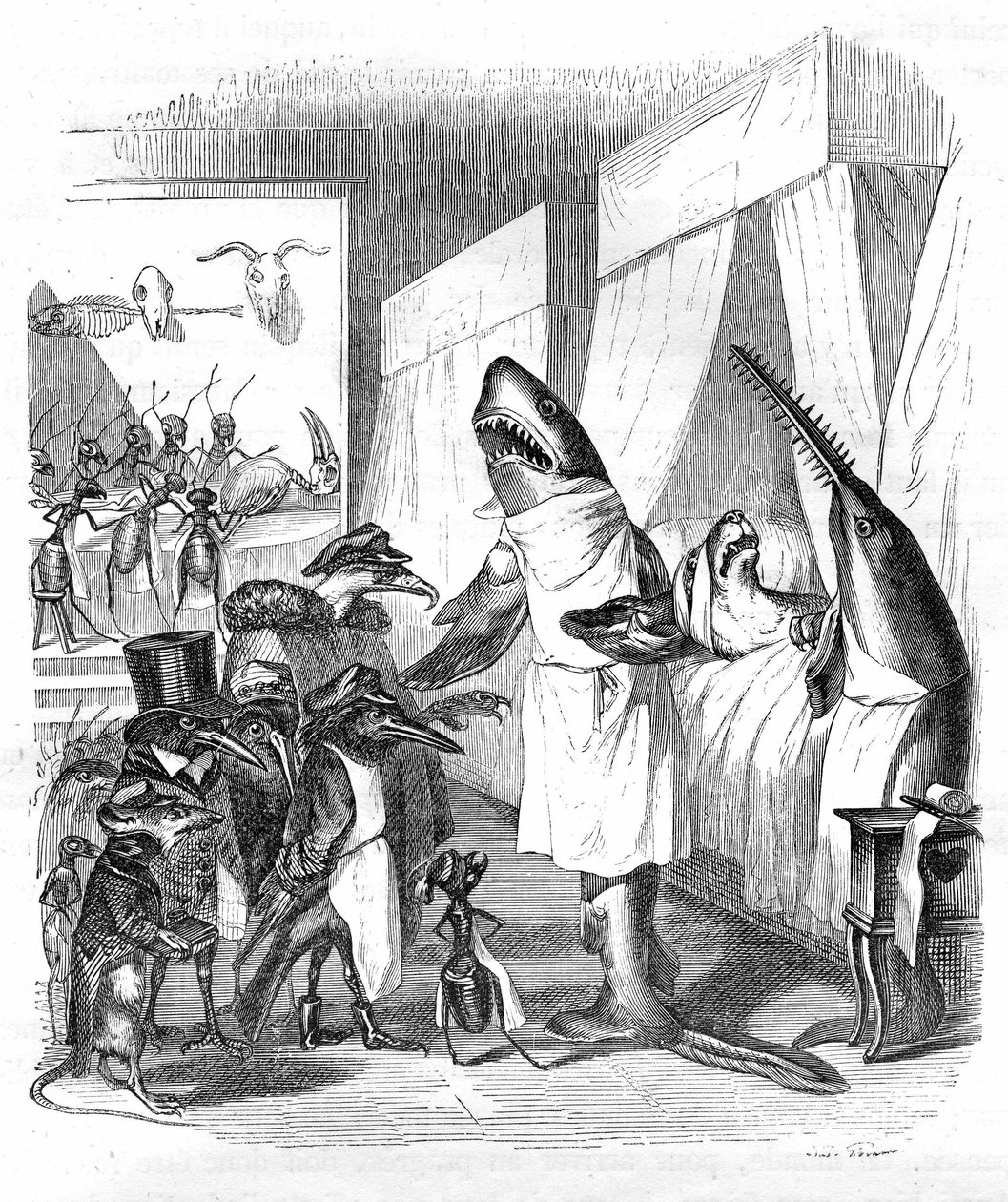  بواسطة غراندفيل (1803-47)