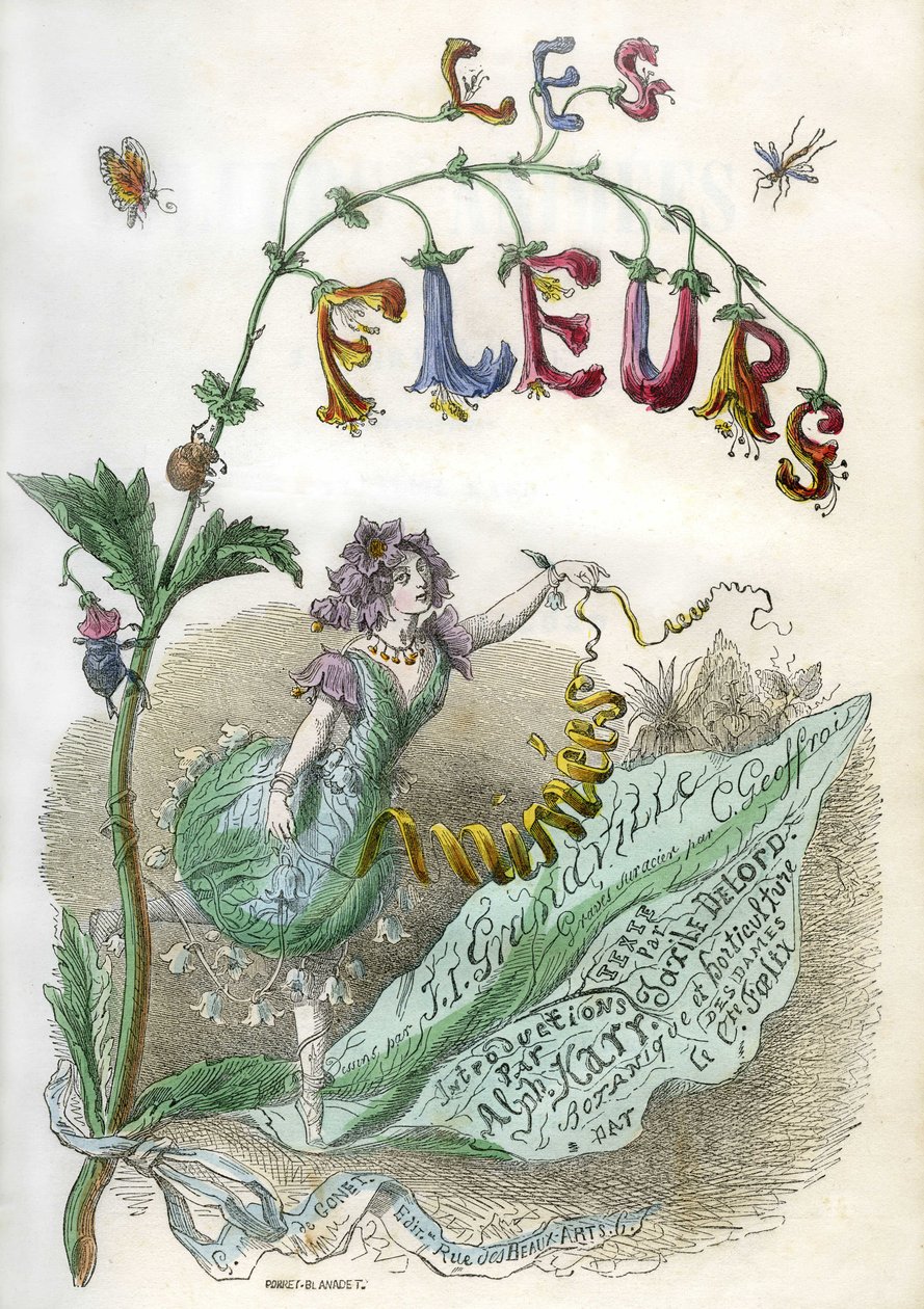  بواسطة غراندفيل (1803-47)