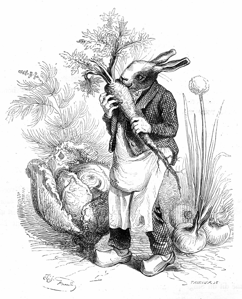  بواسطة غراندفيل (1803-47)