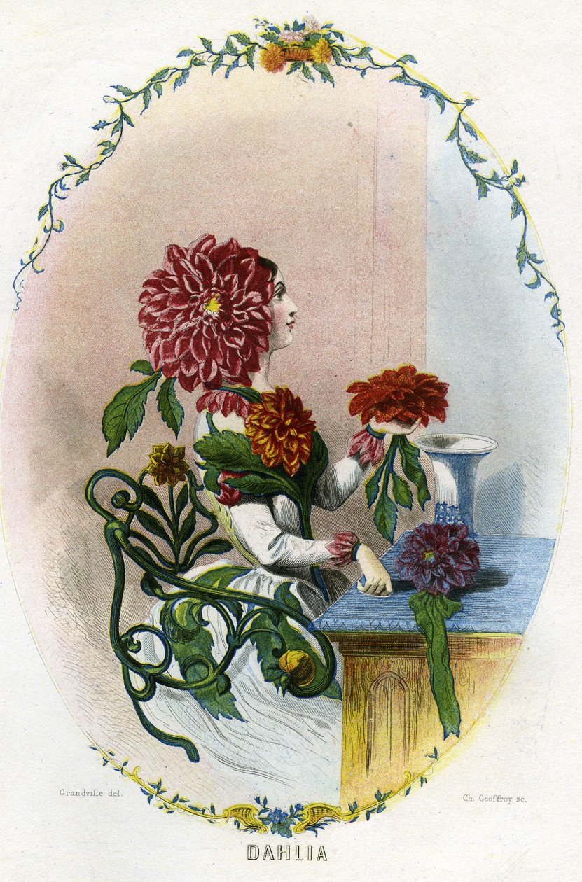  بواسطة غراندفيل (1803-47)