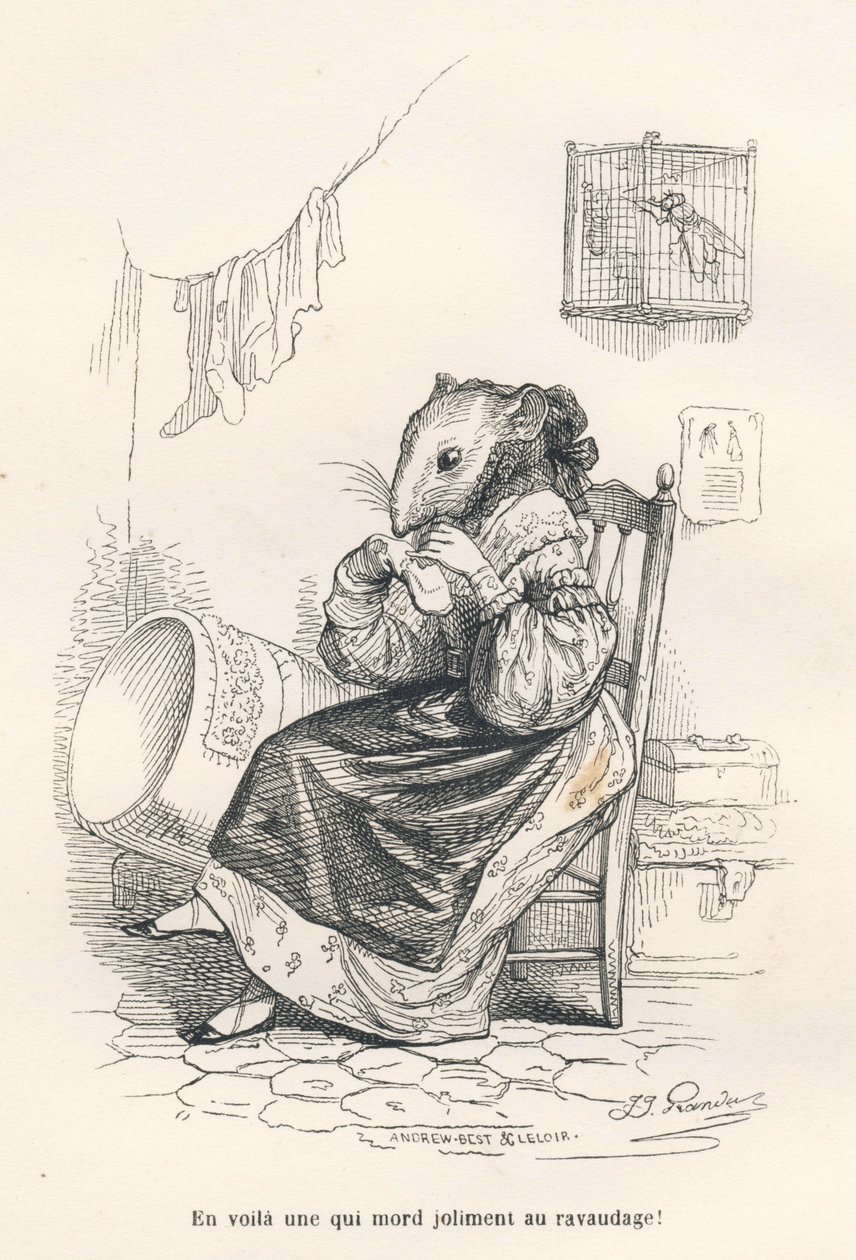 الفأر يصلح جورب. المقالات القصيرة موضحة بواسطة JJ Granville. وقع النقش أندرو وبيست وليلوار في الجزء المعنون "الجرذ الفيلسوف" الذي كتبه إدوارد ليموين في "مشاهد الحياة الخاصة والعامة للحيوانات". باريس ، ج. هيتزل إي بواسطة جراندفيل