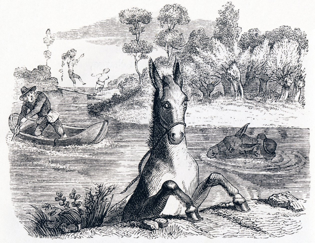 الحمار مع الإسفنج والحمار مع الملح (L'ane charge d'eponges et l'ane charge de sel) - Fables by La Fontaine بواسطة جراندفيل