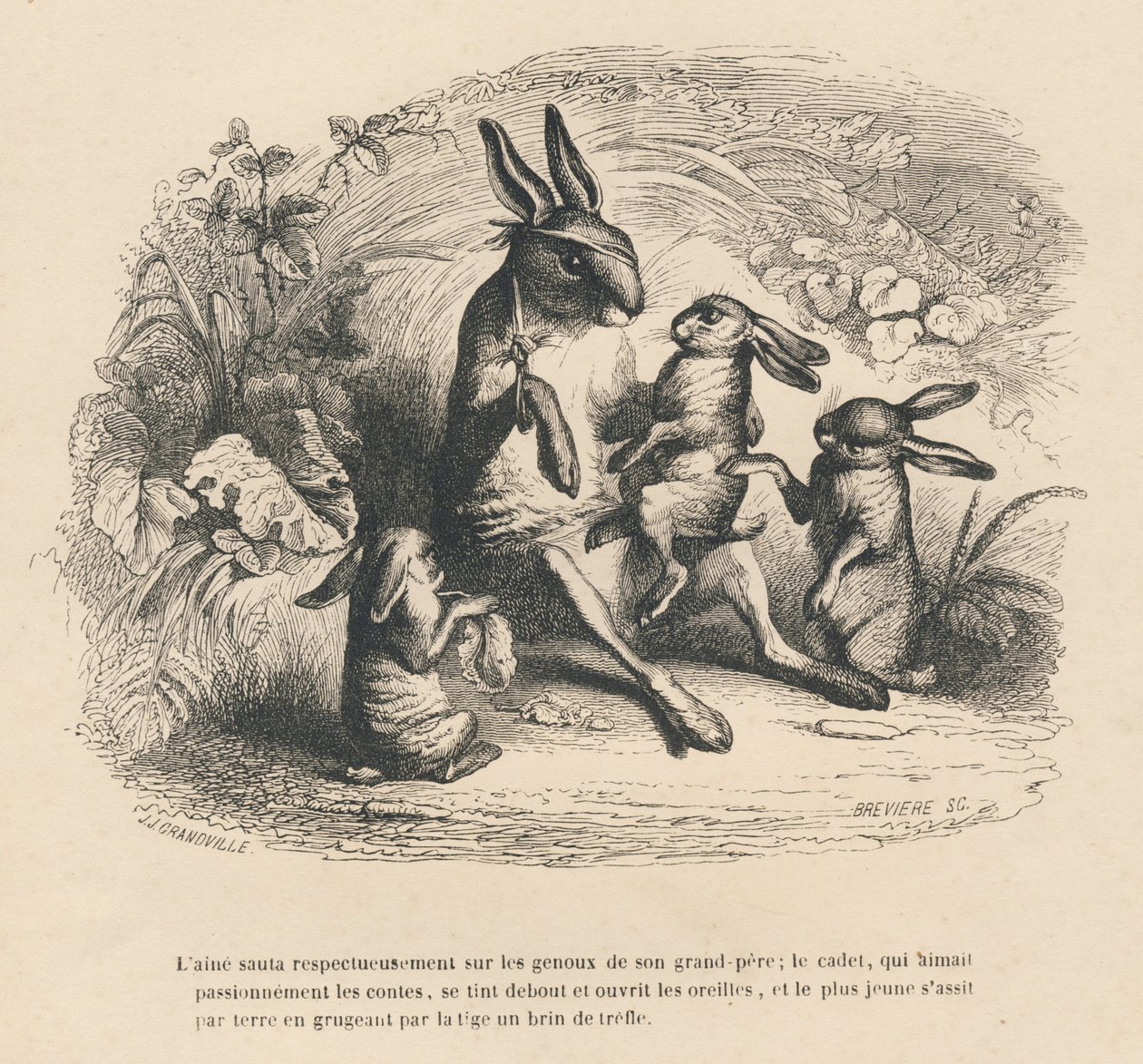 أنتم أطفال أرنب يستمعون إلى جدهم الجريح يروي القصص. المقالات القصيرة موضحة بواسطة JJ Granville. نقش وقع بريفير في الجزء "تاريخ الأرنب" الذي كتبه بي جي ستال في "مشاهد الحياة الخاصة والعامة للحيوانات". باريس بواسطة جراندفيل
