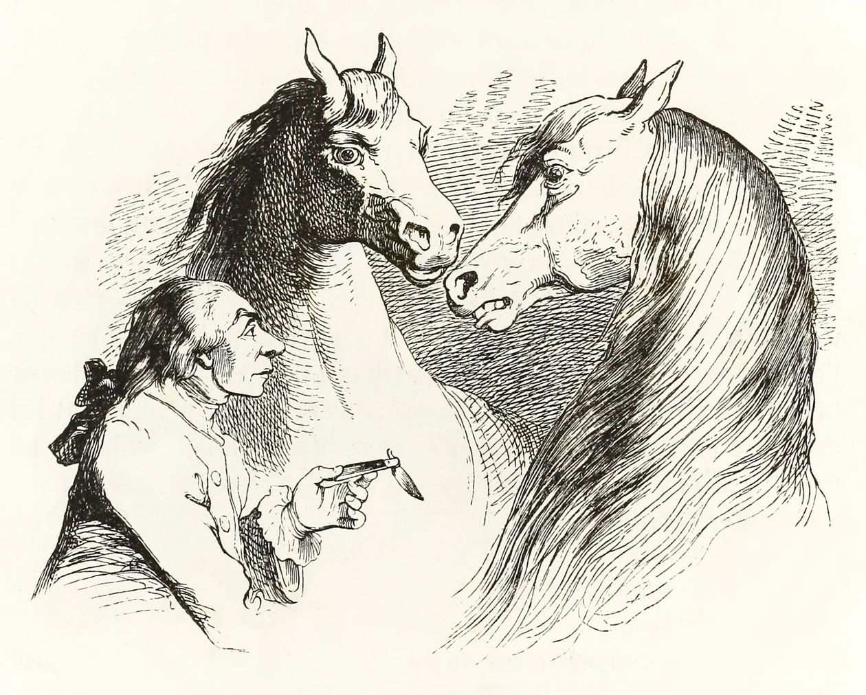 يتحدث جاليفر مع الخيول المتحدثة في Houyhnhnms Land من Gullivers Travels بواسطة جوناثان سويفت بواسطة جراندفيل
