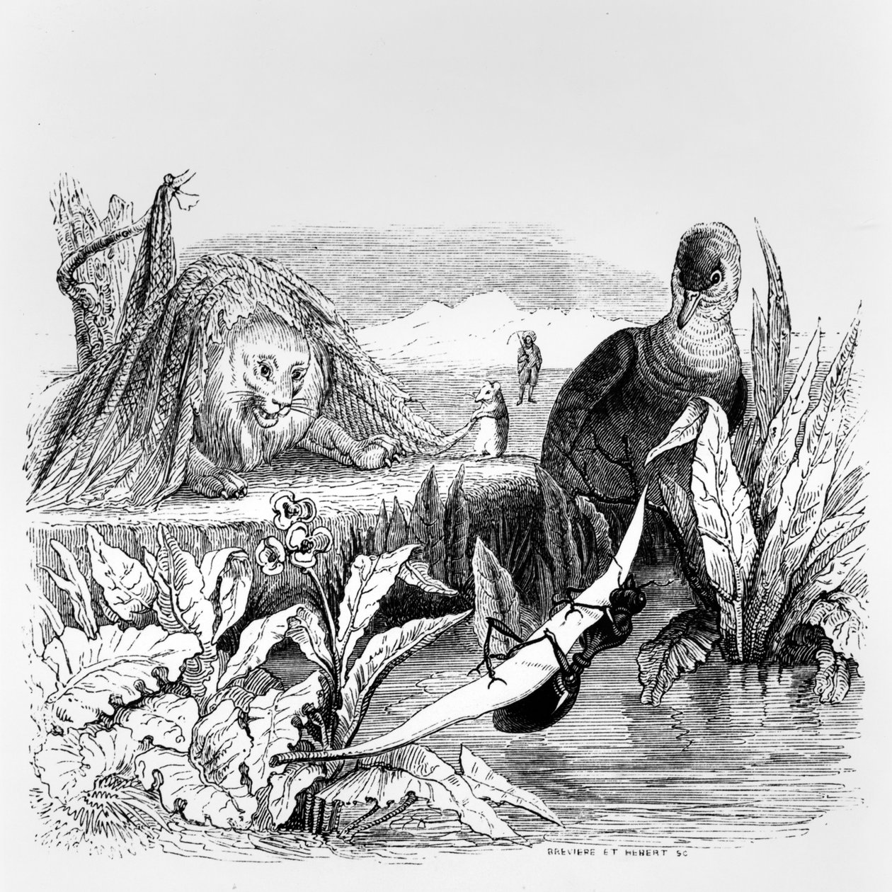 الحمامة والنمل والأسد والفئران ، رسم توضيحي لـ "خرافات" لافونتين ، نشرها H.Fournier Aine ، 1838 بواسطة جراندفيل