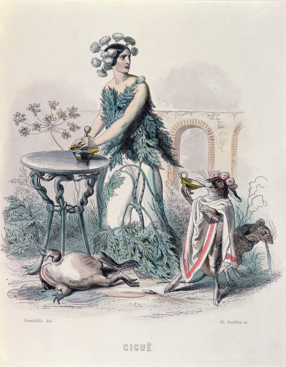 الشوكران ، من "Les Fleurs Animees" ، محفور من قبل Charles Goeffroy (1819-1882) ، 1847 (نقش الألوان) بواسطة جراندفيل