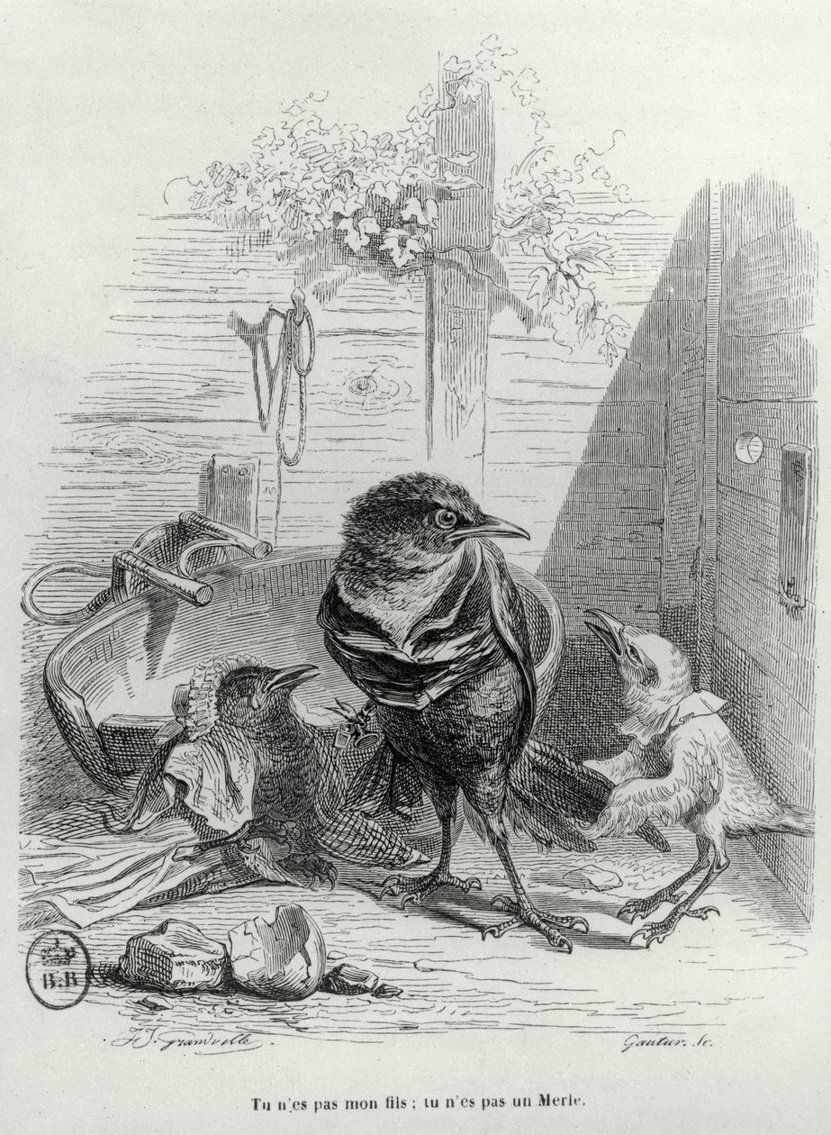 رسم توضيحي لقصة طائر أبيض ، نقشها غوتييه بواسطة Grandville 1803 47 بعد Grandville 1803 47 بعد