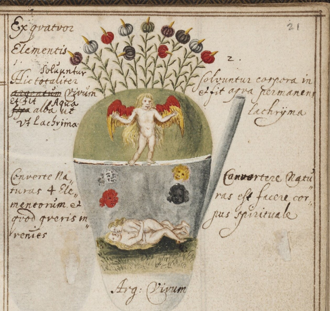 دفتر Alchemical ، ج. 1620 بواسطة جراسشوف