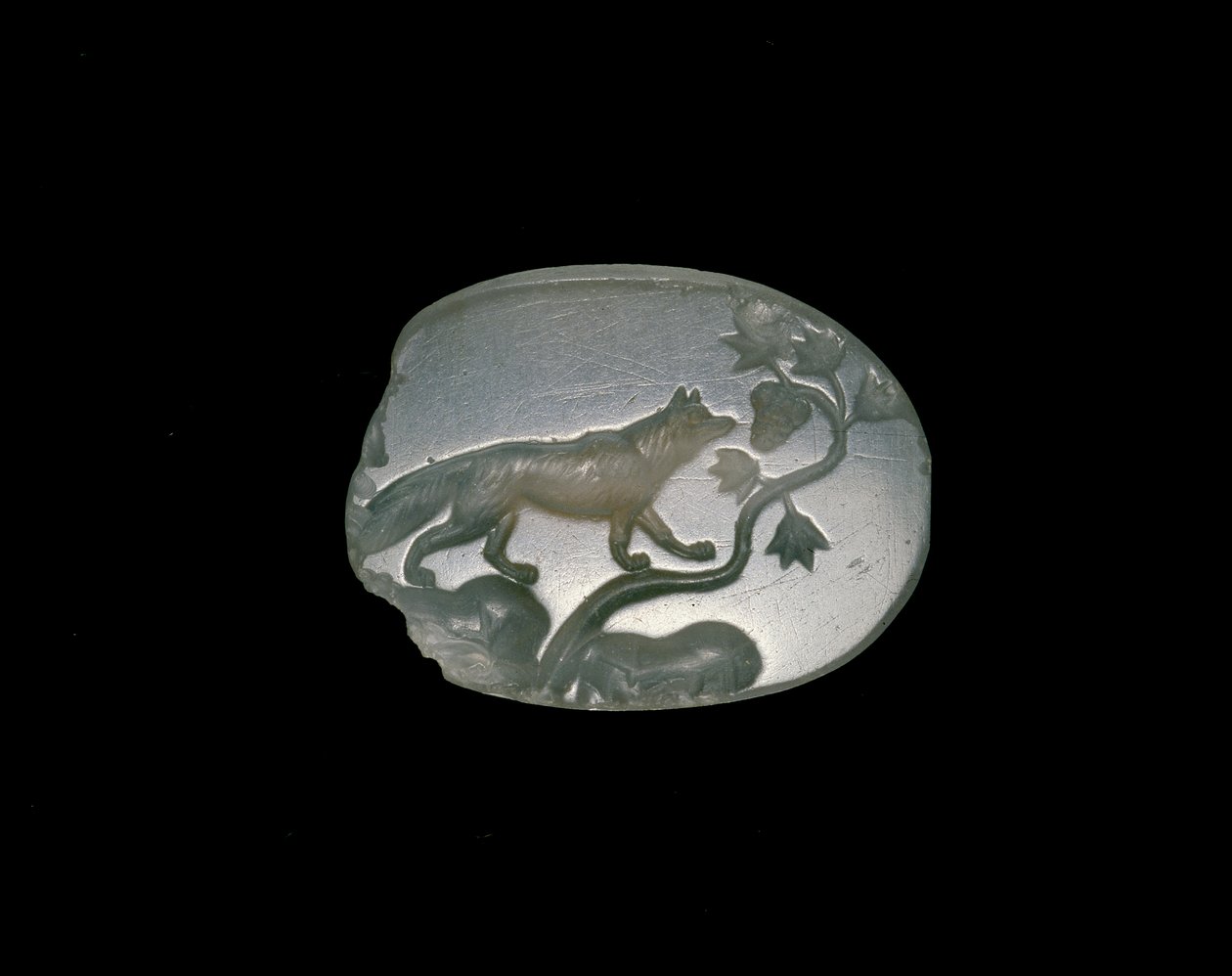 Sealstone يصور الثعلب بالأقدام الأمامية على كرمة العنب (حجر العقيق) بواسطة اليونانية