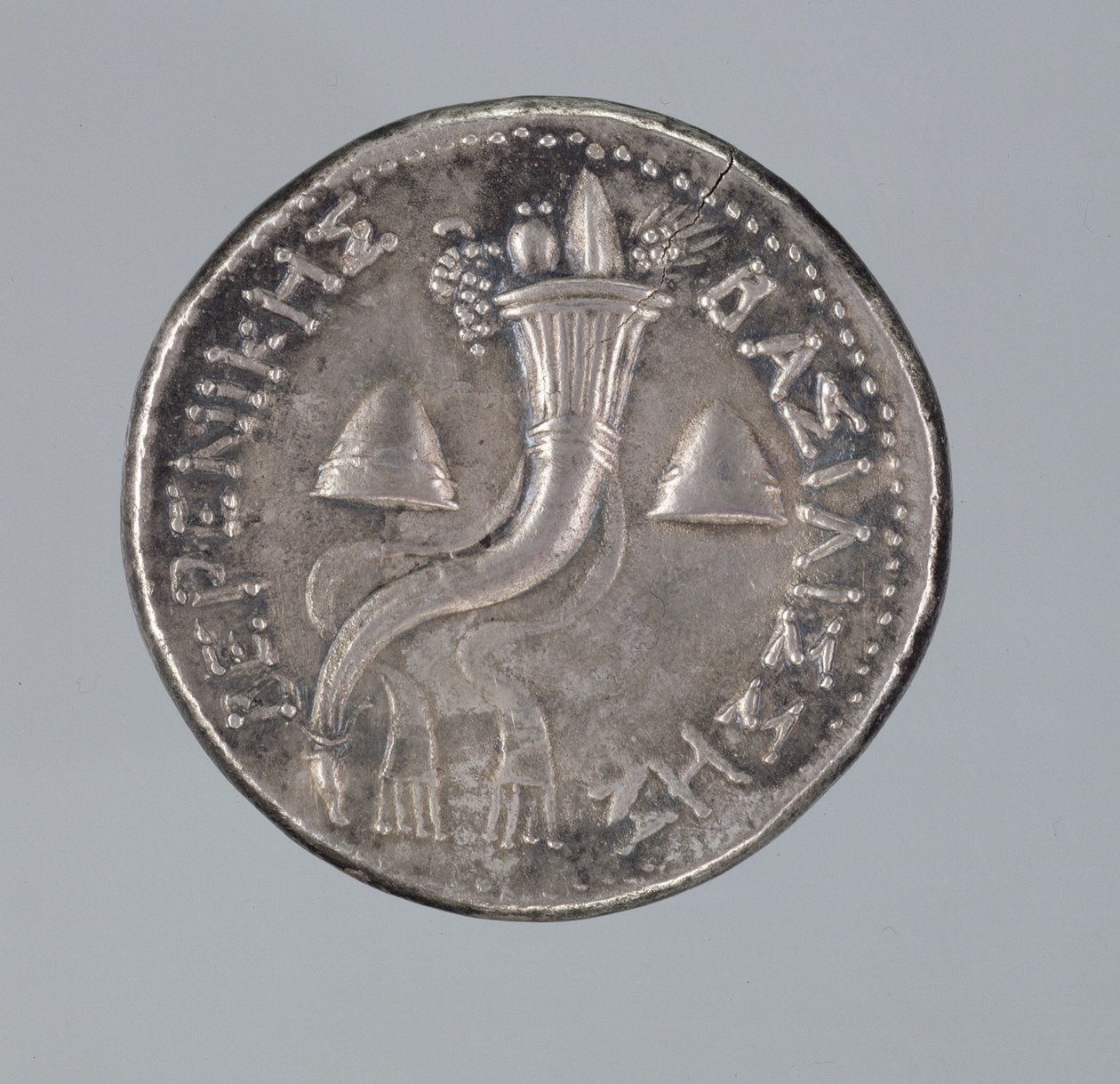 الفضة Didrachma من Berenice II (الفضة) (انظر أيضًا 293751) بواسطة اليونانية