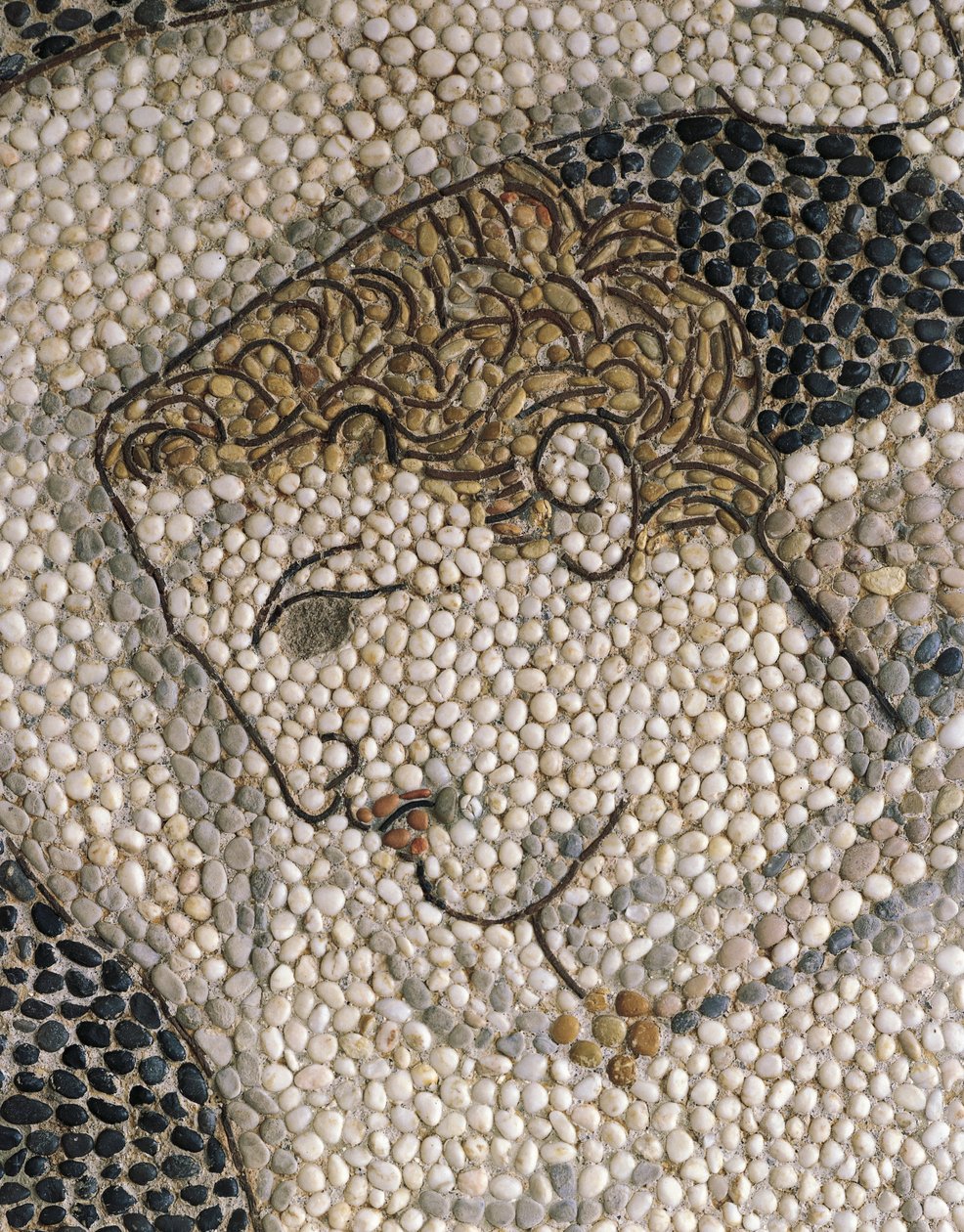 Head of Krateros, c.320 BC (moasaic) (detail of 332175 & 419063) بواسطة المدرسة اليونانية