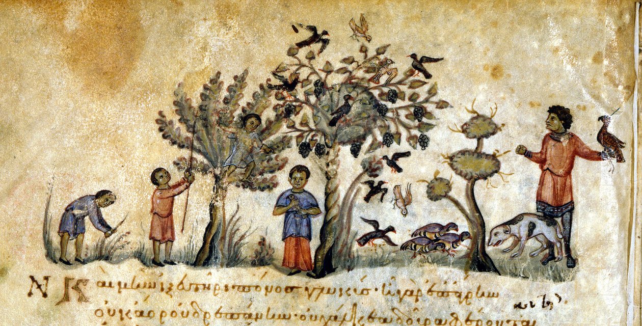 الصيد بالصقور لالتقاط الطيور - في "De Venatione" لأوبيانوس ، مخطوطة يونانية من القرن الثالث عشر. مكتبة مارسيانا. مدينة البندقية بواسطة المدرسة اليونانية