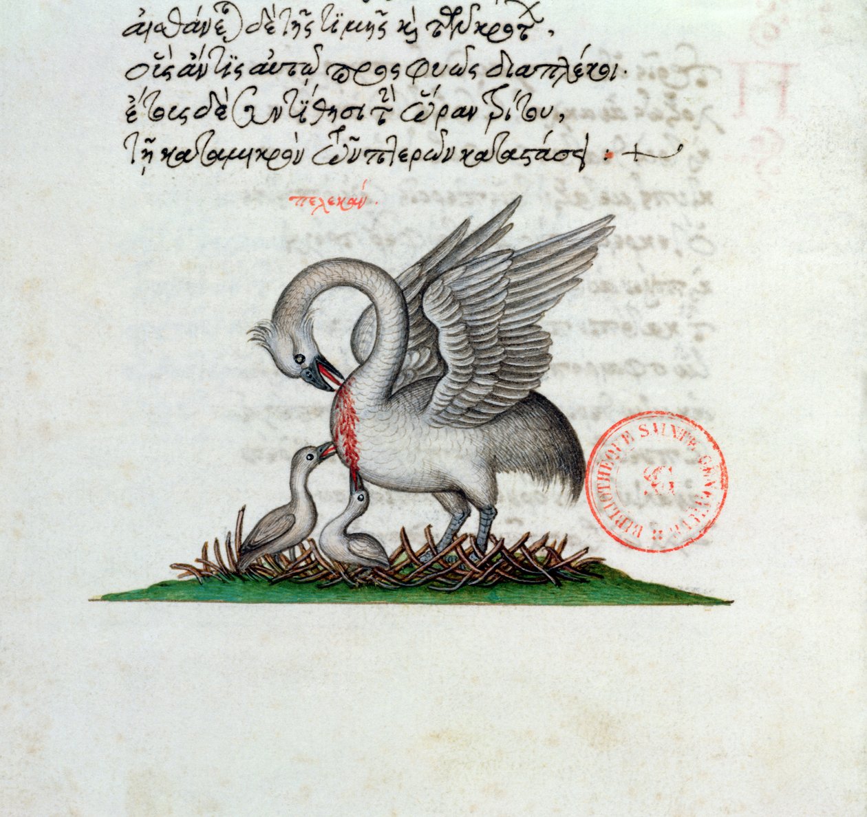 السيدة 3401 ثقب البجع ثدييها لإطعام صغارها ، من Bestiary بقلم مانويل فيليس ، 1566 بواسطة المدرسة اليونانية