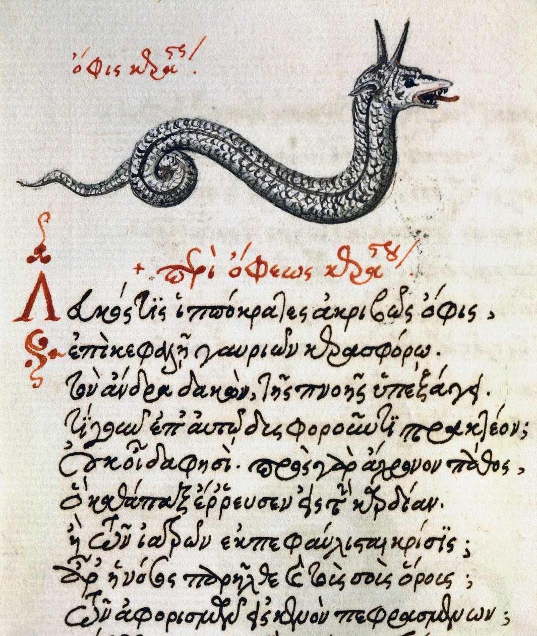 Treatise on Basilisk, test and miniature from De animalium natura et proprietate libellus, by Aelianus (2nd-3rd century AD) بواسطة المدرسة اليونانية
