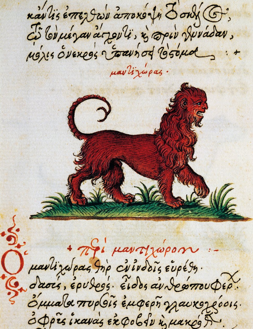 Treatise on Gryphon, test and miniature from De animalium natura et proprietate libellus, by Aelianus (2nd-3rd century AD) بواسطة المدرسة اليونانية