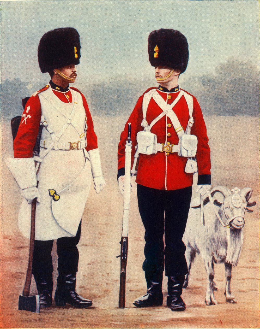 "The Royal Welsh Fusiliers" ، 1901. بواسطة غريغوري وشركاه